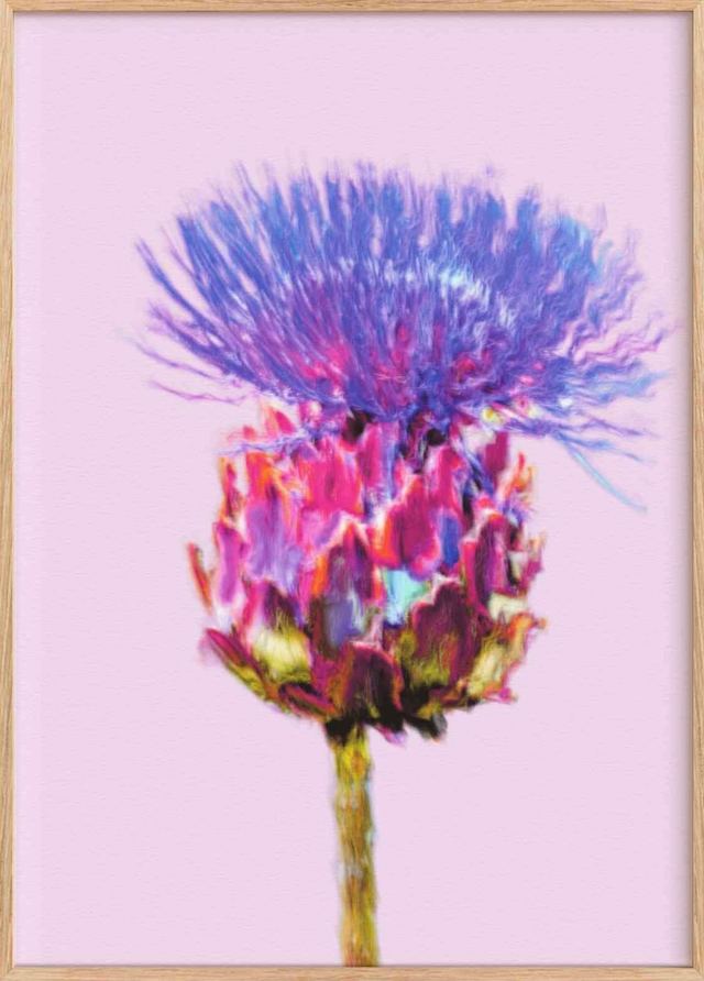 Purple Mohawk by Raquel Doval - Strata83