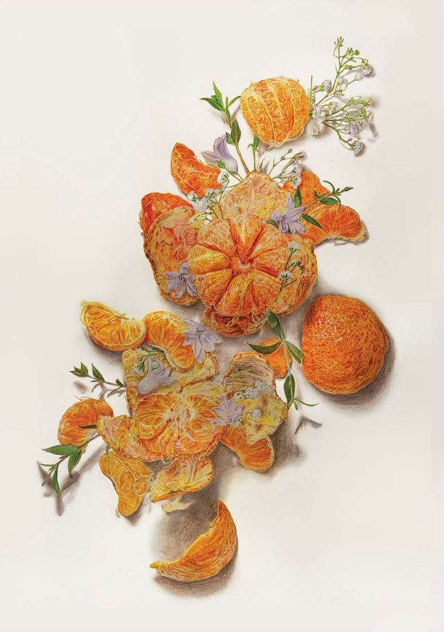 Peel by Lara Christina Miller